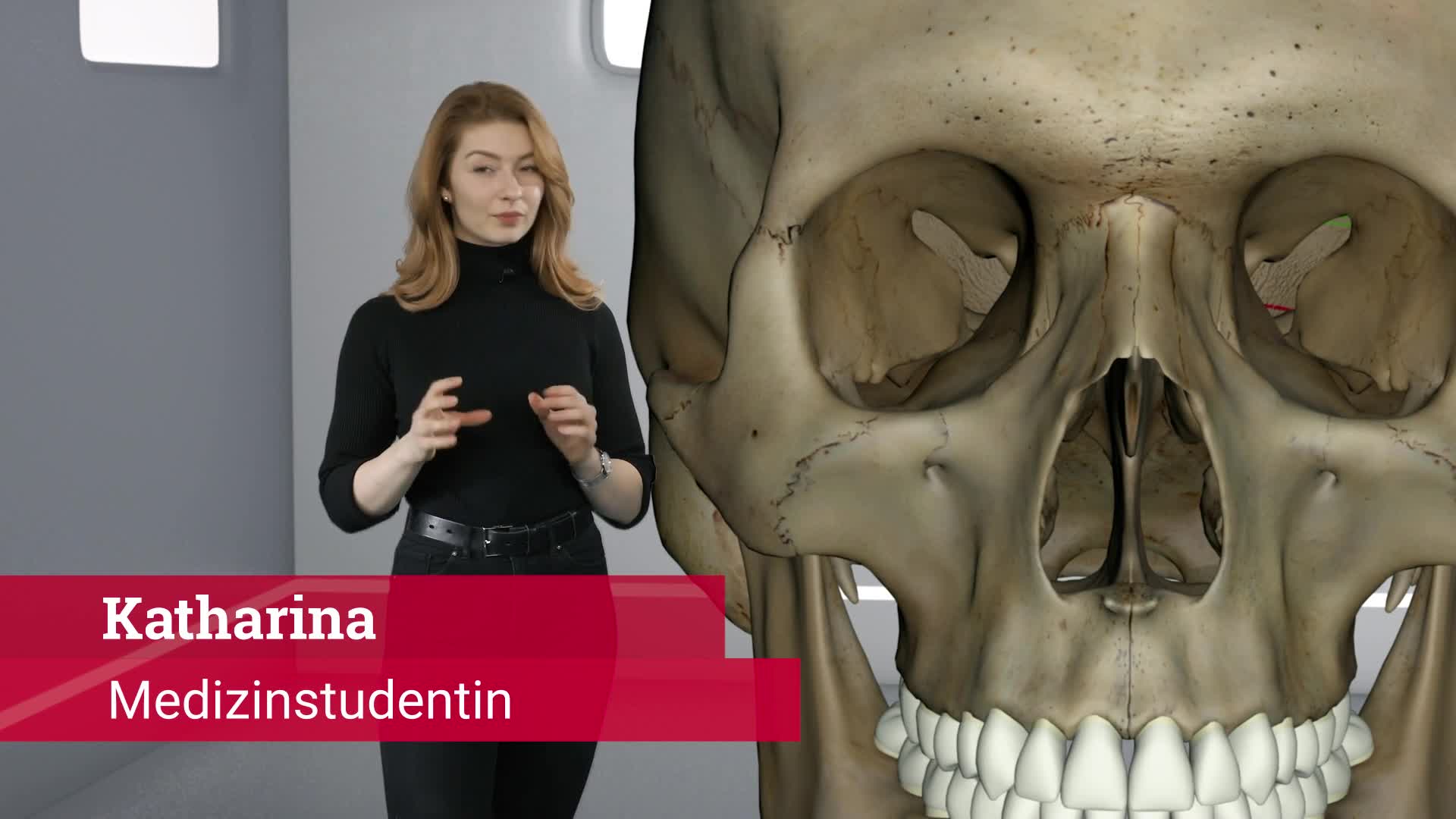 AnatomieCheck Orbita DocCheck