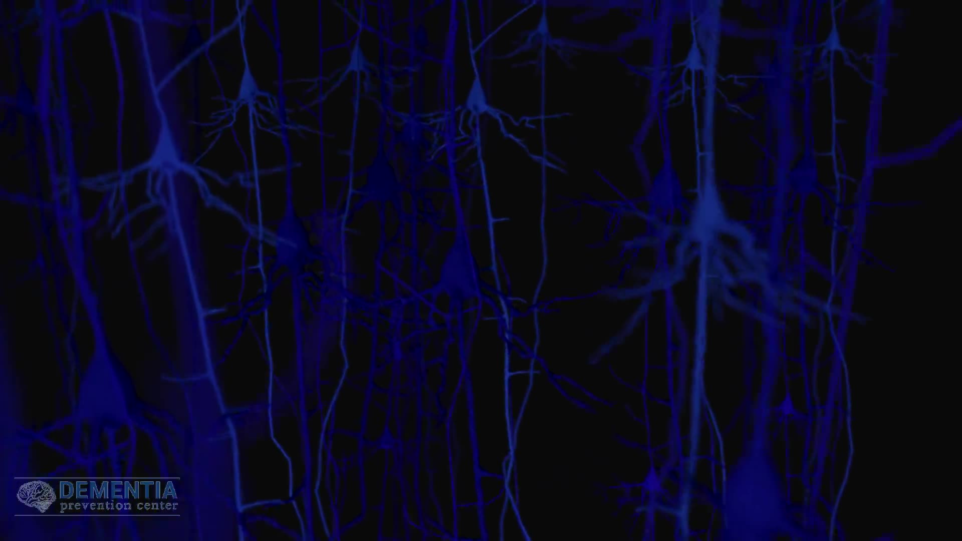 The human brain has 100 billion neurons - DocCheck