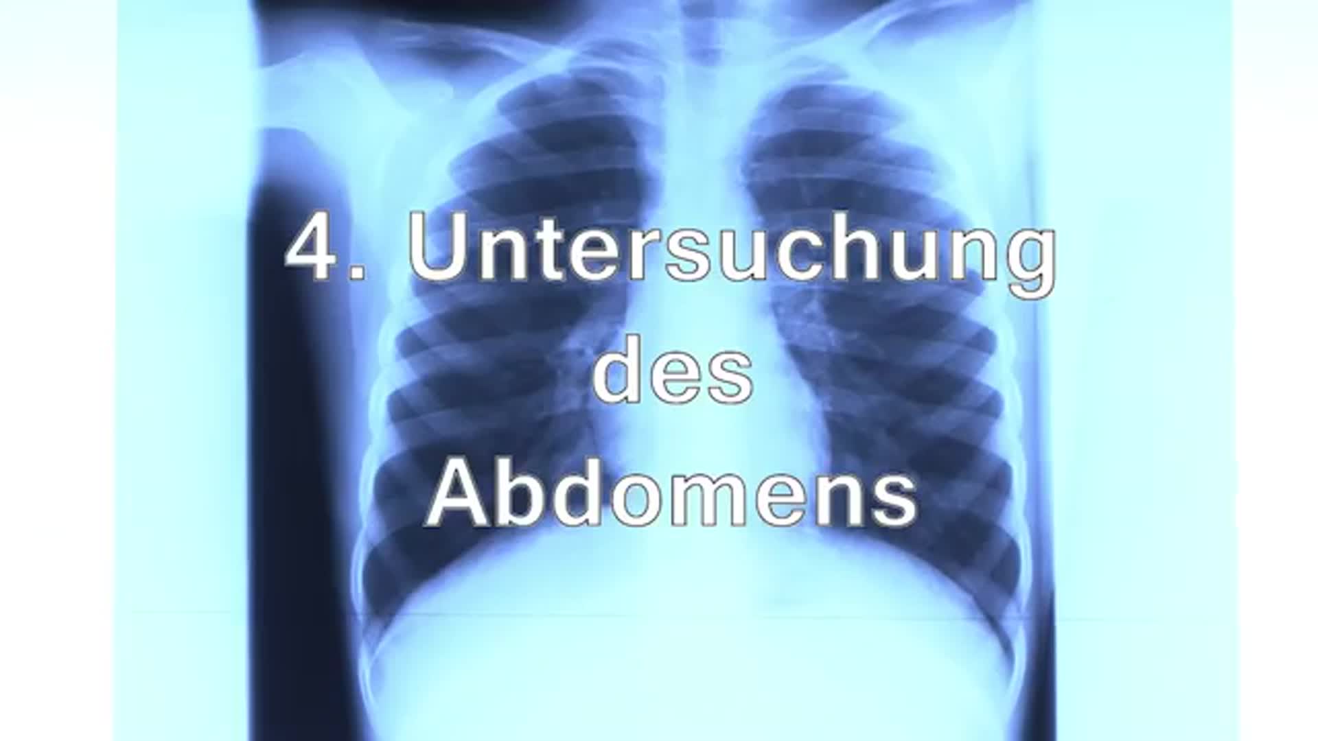 Grundlagen Klinischer Untersuchung (4) - Die Untersuchung Des ...