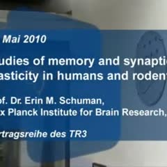 Plastizität DocCheck Flexikon